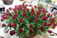 Купить классные розы в Петербурге на базе.
